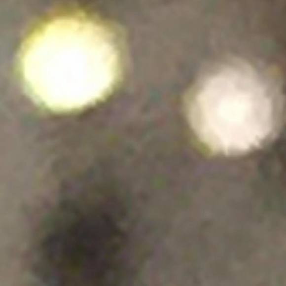 Meet your Posher, Jake - Picture 1 of 1